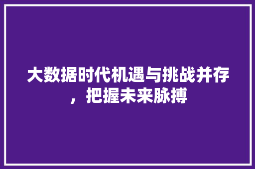 大数据时代机遇与挑战并存，把握未来脉搏
