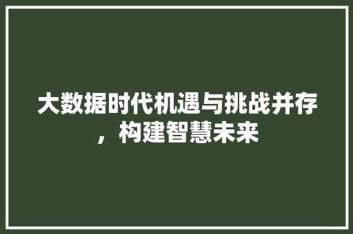 大数据时代机遇与挑战并存，构建智慧未来