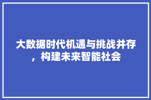 大数据时代机遇与挑战并存，构建未来智能社会
