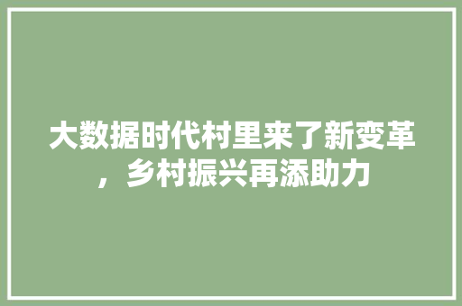 大数据时代村里来了新变革，乡村振兴再添助力