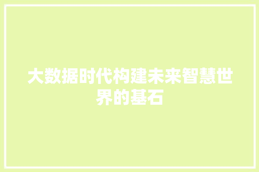 大数据时代构建未来智慧世界的基石