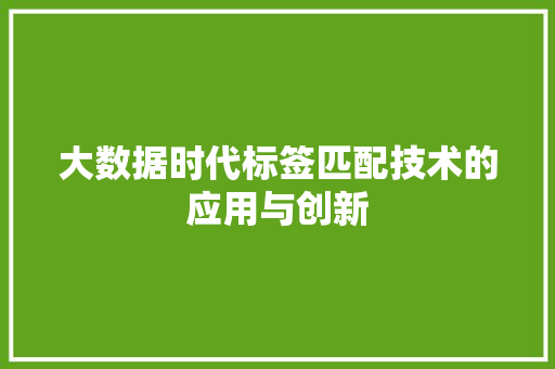 大数据时代标签匹配技术的应用与创新