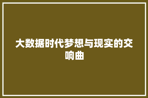 大数据时代梦想与现实的交响曲