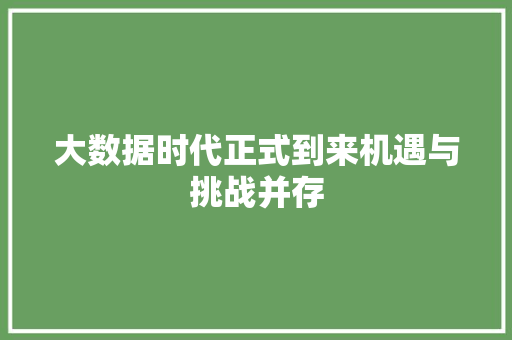 大数据时代正式到来机遇与挑战并存