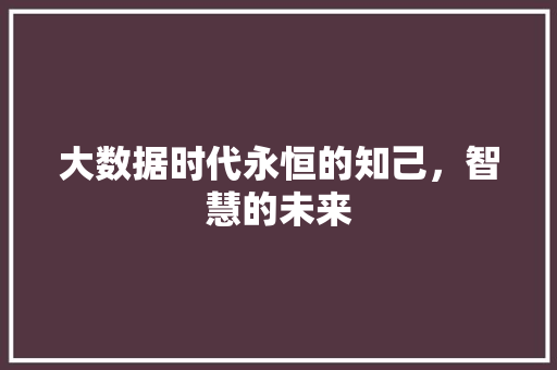 大数据时代永恒的知己，智慧的未来