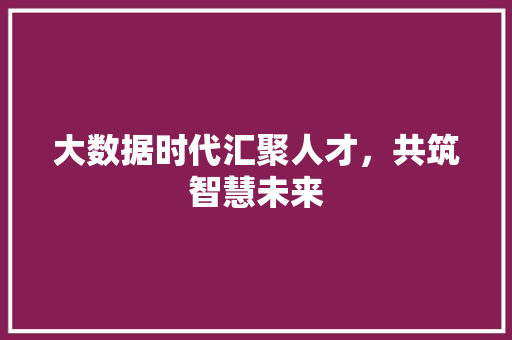 大数据时代汇聚人才,共筑智慧未来 大数据时代汇聚人才,共筑智慧未来