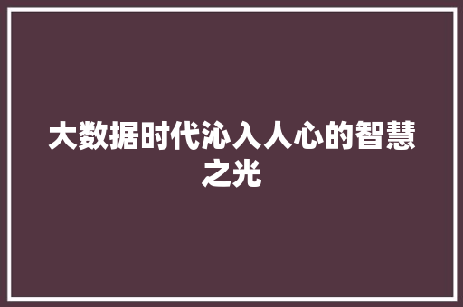 大数据时代沁入人心的智慧之光 大数据时代沁入人心的智慧之光