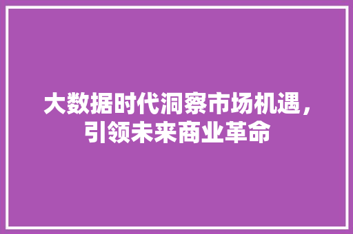 大数据时代洞察市场机遇，引领未来商业革命