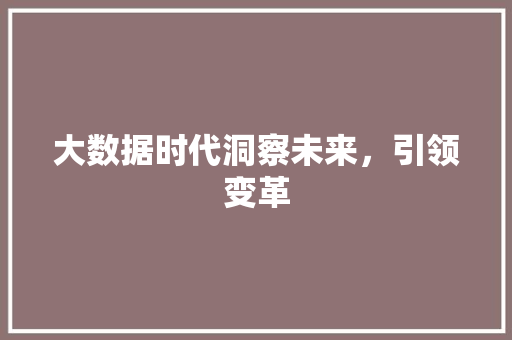 大数据时代洞察未来,引领变革 电脑基础 大数据时代洞察未来,引领变革 电脑基础
