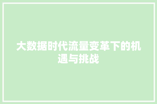 大数据时代流量变革下的机遇与挑战 大数据时代流量变革下的机遇与挑战