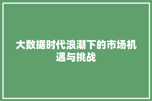 大数据时代浪潮下的市场机遇与挑战 大数据时代浪潮下的市场机遇与挑战