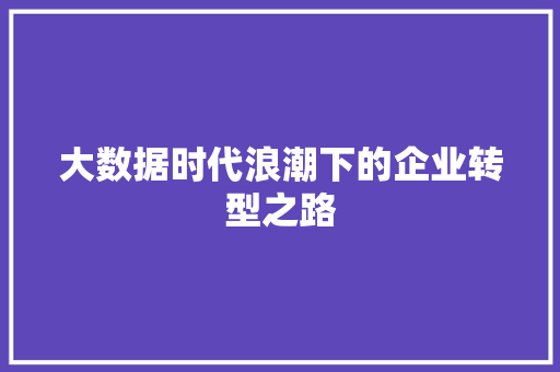 大数据时代浪潮下的企业转型之路 大数据时代浪潮下的企业转型之路