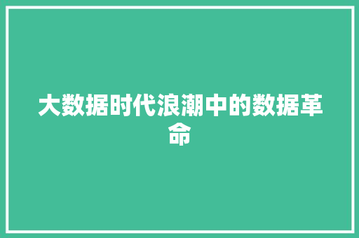 大数据时代浪潮中的数据革命 大数据时代浪潮中的数据革命