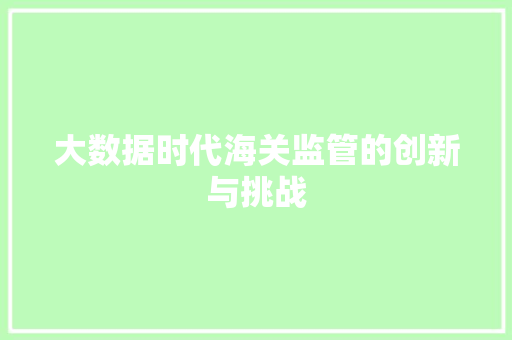 大数据时代海关监管的创新与挑战