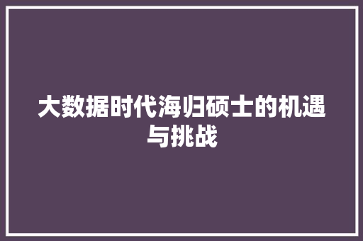 大数据时代海归硕士的机遇与挑战