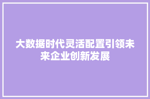 大数据时代灵活配置引领未来企业创新发展