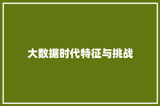大数据时代特征与挑战