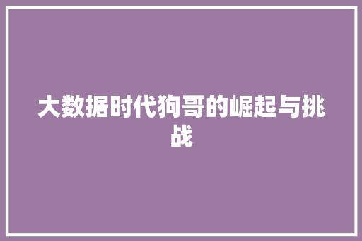 大数据时代狗哥的崛起与挑战