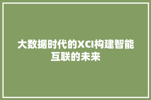 大数据时代的XCI构建智能互联的未来