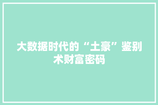 大数据时代的“土豪”鉴别术财富密码