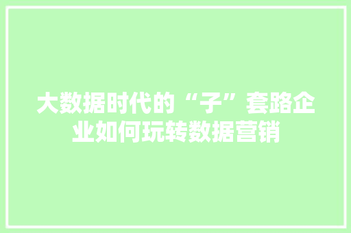 大数据时代的“子”套路企业如何玩转数据营销