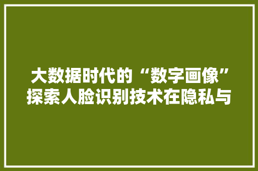 大数据时代的“数字画像”探索人脸识别技术在隐私与安全间的微妙平衡