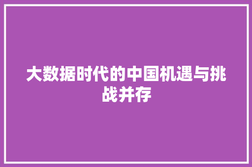大数据时代的中国机遇与挑战并存