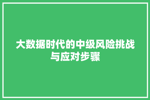 大数据时代的中级风险挑战与应对步骤