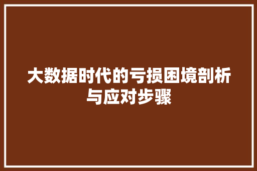 大数据时代的亏损困境剖析与应对步骤