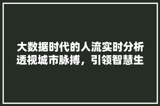 大数据时代的人流实时分析透视城市脉搏,引领智慧生活新潮流 大数据时代的人流实时分析透视城市脉搏,引领智慧生活新潮流