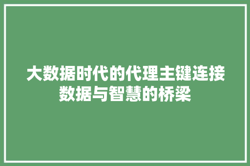 大数据时代的代理主键连接数据与智慧的桥梁 大数据时代的代理主键连接数据与智慧的桥梁