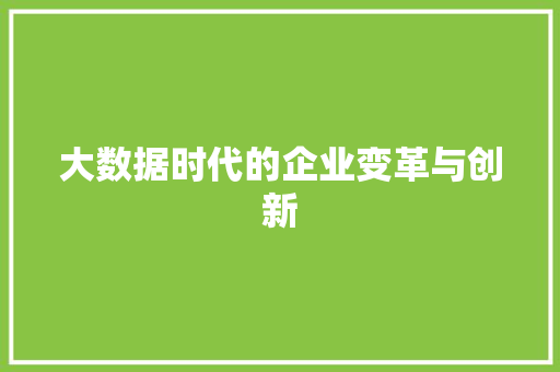 大数据时代的企业变革与创新 编程语言