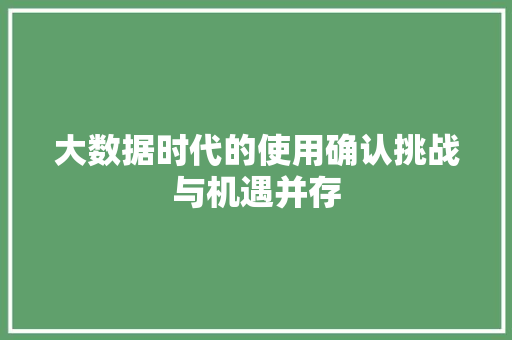 大数据时代的使用确认挑战与机遇并存