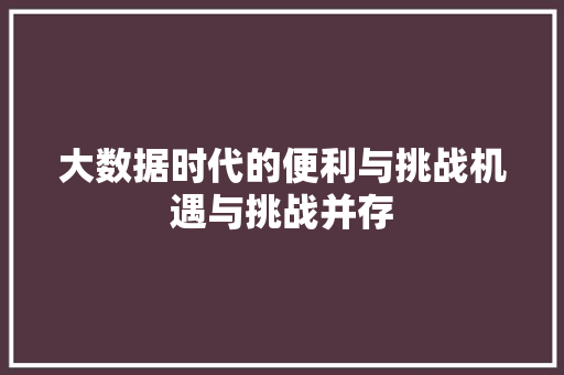 大数据时代的便利与挑战机遇与挑战并存