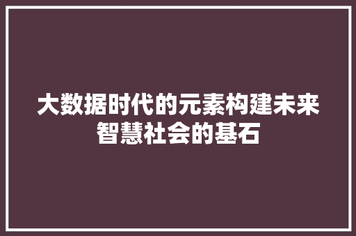 大数据时代的元素构建未来智慧社会的基石 大数据时代的元素构建未来智慧社会的基石