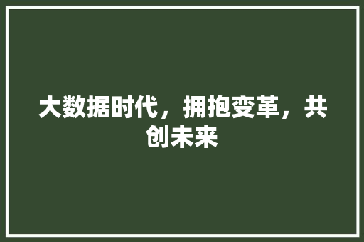 大数据时代，拥抱变革，共创未来