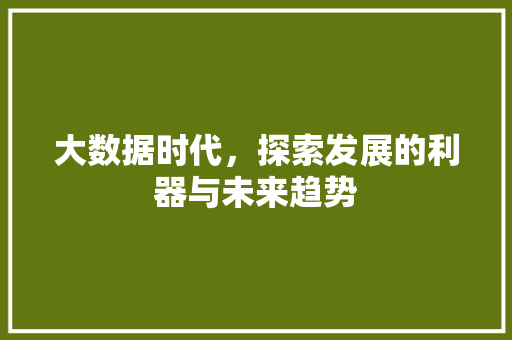 大数据时代,探索发展的利器与未来趋势 大数据时代,探索发展的利器与未来趋势