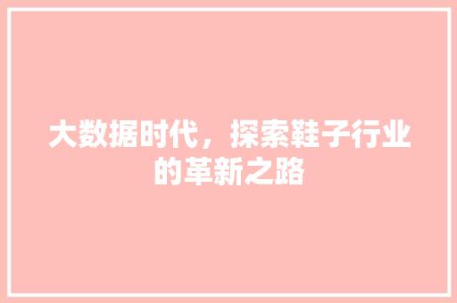 大数据时代,探索鞋子行业的革新之路 大数据时代,探索鞋子行业的革新之路