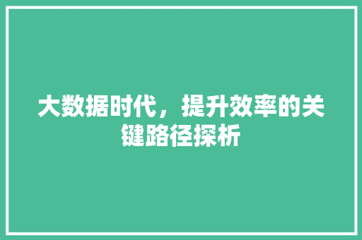 大数据时代,提升效率的关键路径探析 大数据时代,提升效率的关键路径探析