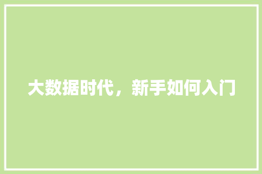 大数据时代，新手如何入门