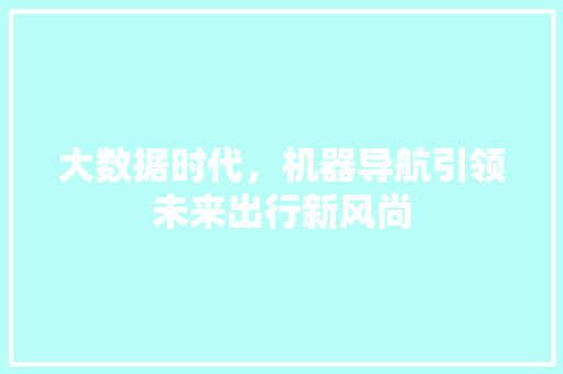 大数据时代,机器导航引领未来出行新风尚 大数据时代,机器导航引领未来出行新风尚