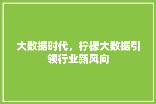 大数据时代,柠檬大数据引领行业新风向 大数据时代,柠檬大数据引领行业新风向