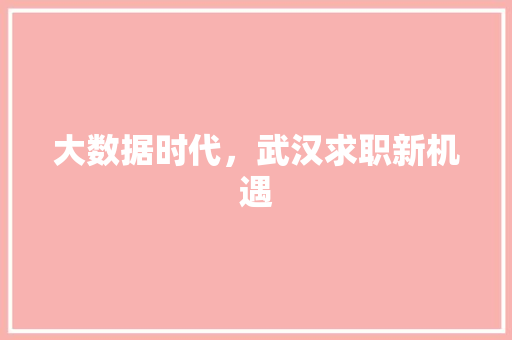 大数据时代，武汉求职新机遇