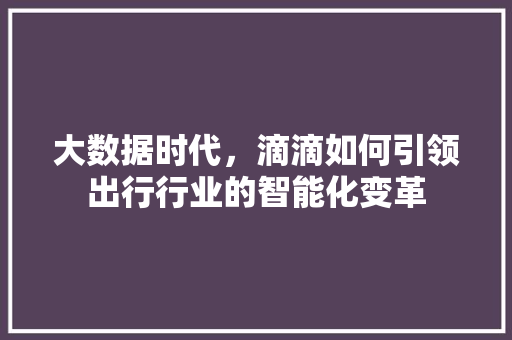 大数据时代，滴滴如何引领出行行业的智能化变革