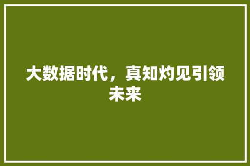 大数据时代，真知灼见引领未来