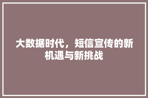 大数据时代，短信宣传的新机遇与新挑战
