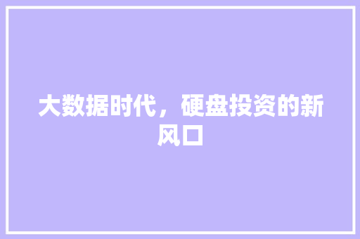 大数据时代，硬盘投资的新风口