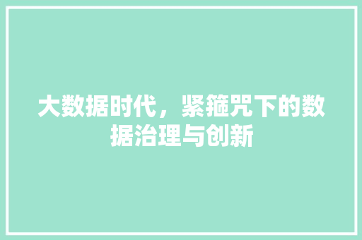 大数据时代，紧箍咒下的数据治理与创新