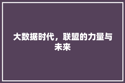 大数据时代，联盟的力量与未来 电脑基础