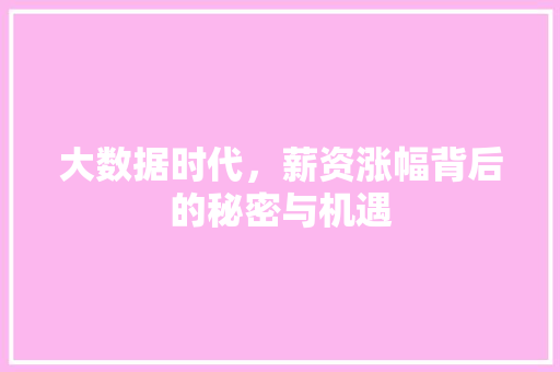 大数据时代，薪资涨幅背后的秘密与机遇 电脑基础